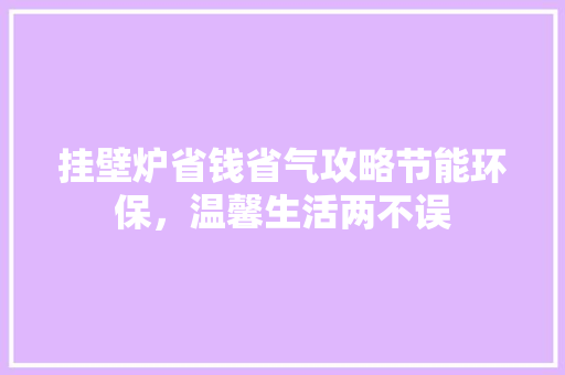 挂壁炉省钱省气攻略节能环保，温馨生活两不误 局部翻新