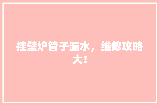 挂壁炉管子漏水，维修攻略大！ 家电维护