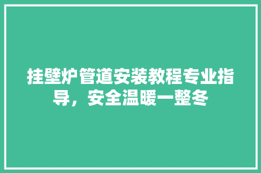 挂壁炉管道安装教程专业指导，安全温暖一整冬 洁具维修