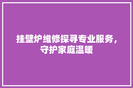 挂壁炉维修探寻专业服务，守护家庭温暖 贴膜