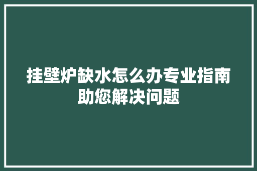 挂壁炉缺水怎么办专业指南助您解决问题 洗衣机
