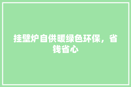 挂壁炉自供暖绿色环保，省钱省心 洗衣机