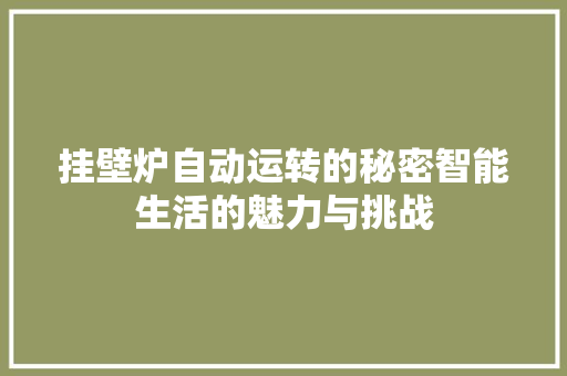 挂壁炉自动运转的秘密智能生活的魅力与挑战 旧房改造