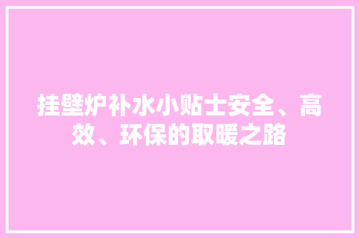 挂壁炉补水小贴士安全、高效、环保的取暖之路 热水器