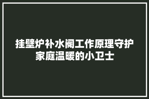 挂壁炉补水阀工作原理守护家庭温暖的小卫士 龙头管件