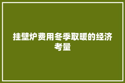 挂壁炉费用冬季取暖的经济考量 水电维修
