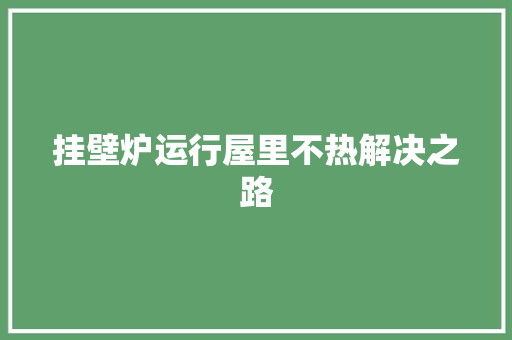 挂壁炉运行屋里不热解决之路 热水器