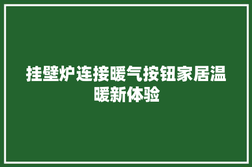 挂壁炉连接暖气按钮家居温暖新体验 冰箱