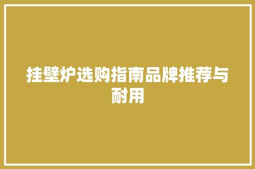 挂壁炉选购指南品牌推荐与耐用 空调
