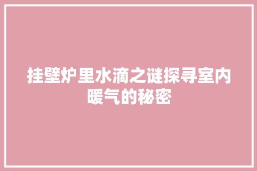 挂壁炉里水滴之谜探寻室内暖气的秘密 贴膜