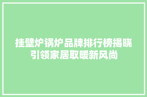 挂壁炉锅炉品牌排行榜揭晓引领家居取暖新风尚 家居维修