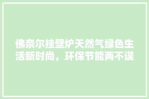 佛奈尔挂壁炉天然气绿色生活新时尚，环保节能两不误 家具修理