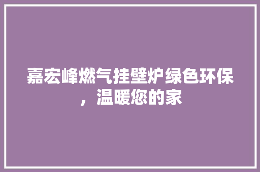 嘉宏峰燃气挂壁炉绿色环保，温暖您的家 龙头管件
