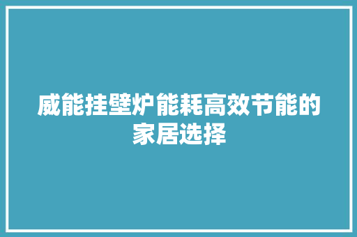 威能挂壁炉能耗高效节能的家居选择 灯具安装