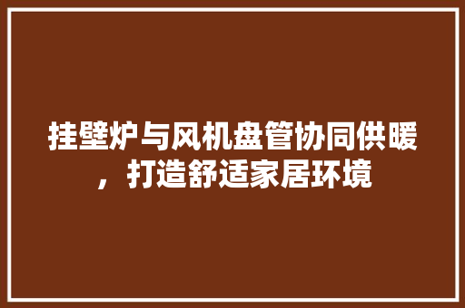 挂壁炉与风机盘管协同供暖，打造舒适家居环境 翻新改色