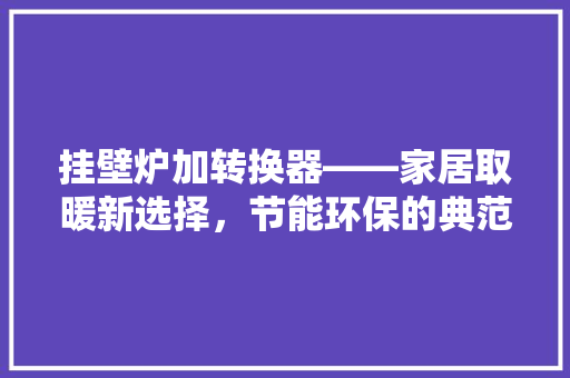 挂壁炉加转换器——家居取暖新选择，节能环保的典范 局部翻新