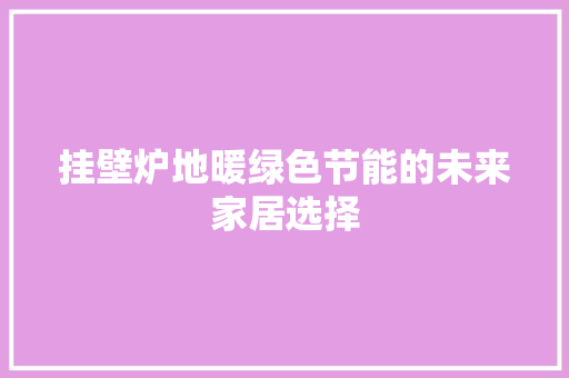 挂壁炉地暖绿色节能的未来家居选择 装修设计