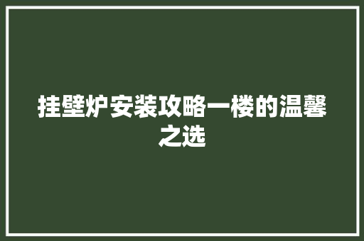挂壁炉安装攻略一楼的温馨之选 装修设计