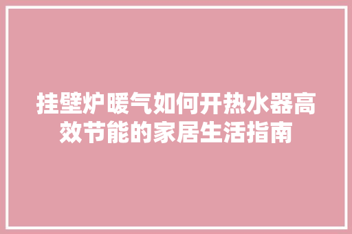 挂壁炉暖气如何开热水器高效节能的家居生活指南 灯具安装