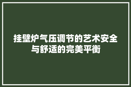 挂壁炉气压调节的艺术安全与舒适的完美平衡 热水器