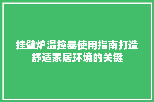 挂壁炉温控器使用指南打造舒适家居环境的关键 旧房改造