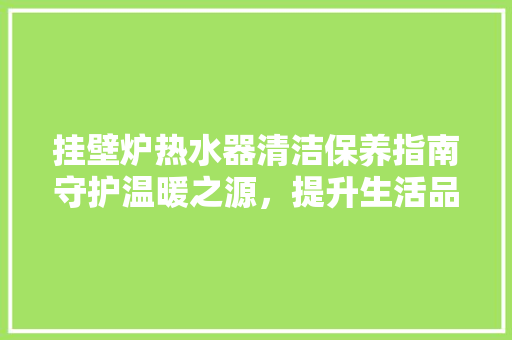 挂壁炉热水器清洁保养指南守护温暖之源，提升生活品质 清洁保养