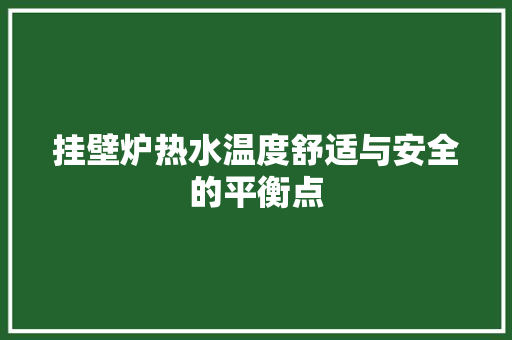 挂壁炉热水温度舒适与安全的平衡点 家居维修