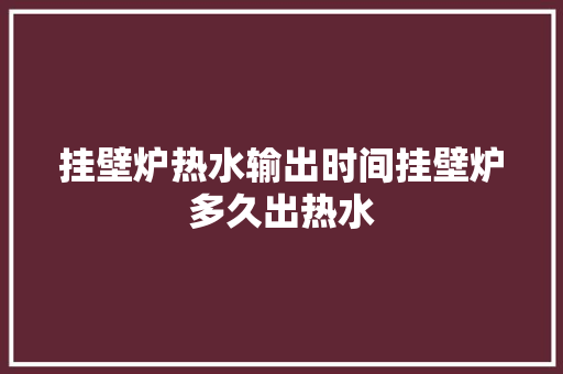 挂壁炉热水输出时间挂壁炉多久出热水 清洁保养