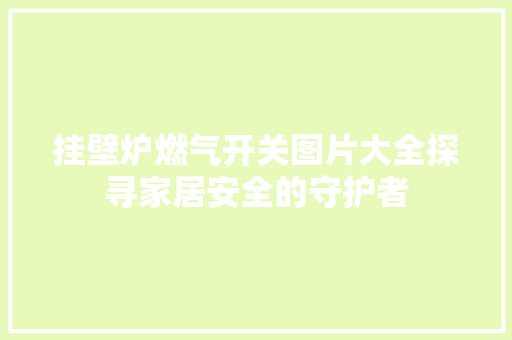 挂壁炉燃气开关图片大全探寻家居安全的守护者 翻新改色