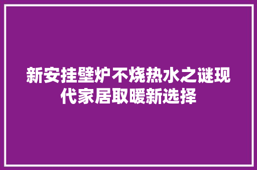 新安挂壁炉不烧热水之谜现代家居取暖新选择 旧房改造