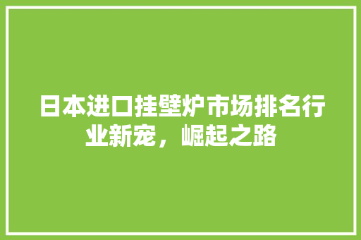 日本进口挂壁炉市场排名行业新宠，崛起之路 家电维护