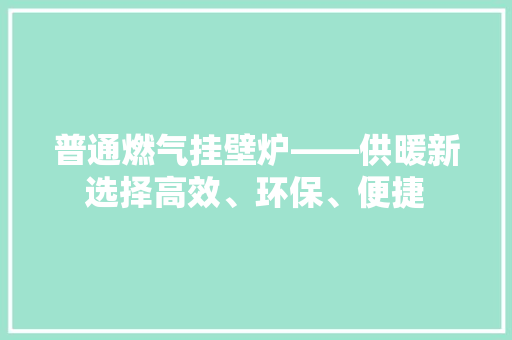 普通燃气挂壁炉——供暖新选择高效、环保、便捷 空调