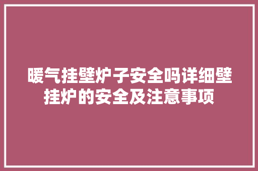 暖气挂壁炉子安全吗详细壁挂炉的安全及注意事项 洗衣机