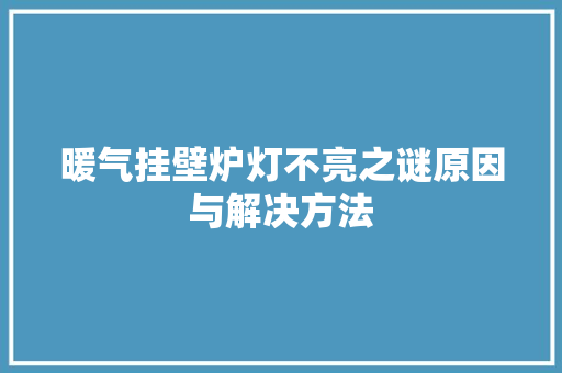 暖气挂壁炉灯不亮之谜原因与解决方法 家具修理