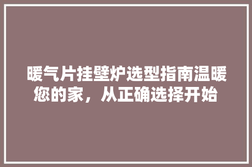 暖气片挂壁炉选型指南温暖您的家，从正确选择开始 家具修理