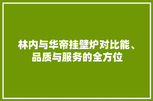 林内与华帝挂壁炉对比能、品质与服务的全方位 热水器