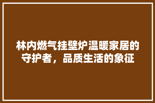 林内燃气挂壁炉温暖家居的守护者，品质生活的象征 水电维修