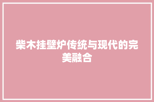 柴木挂壁炉传统与现代的完美融合 冰箱