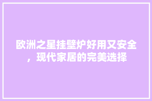 欧洲之星挂壁炉好用又安全，现代家居的完美选择 旧房改造