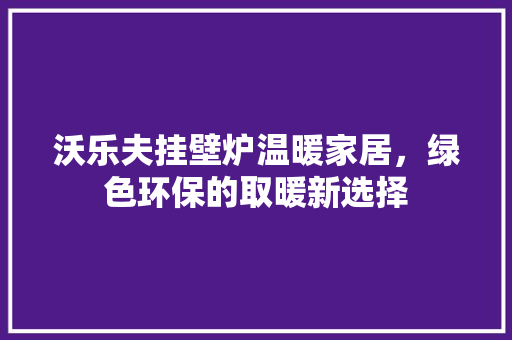 沃乐夫挂壁炉温暖家居，绿色环保的取暖新选择 热水器