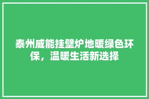 泰州威能挂壁炉地暖绿色环保，温暖生活新选择 冰箱