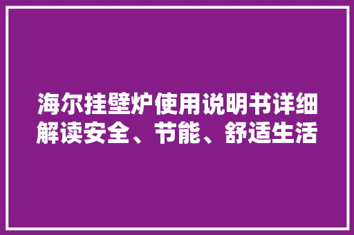 海尔挂壁炉使用说明书详细解读安全、节能、舒适生活新选择 洗衣机