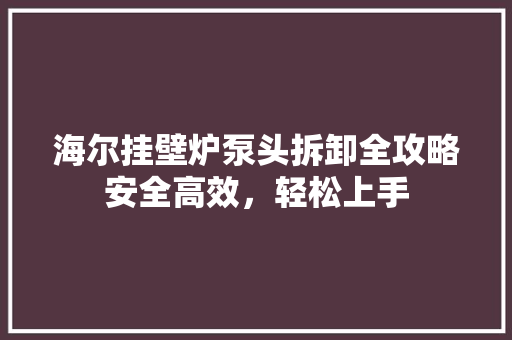 海尔挂壁炉泵头拆卸全攻略安全高效，轻松上手 局部翻新