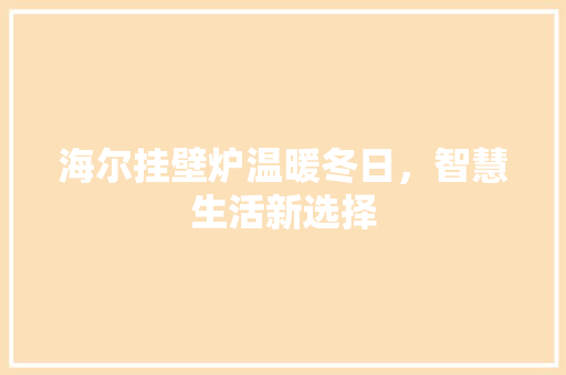 海尔挂壁炉温暖冬日，智慧生活新选择 家居维修