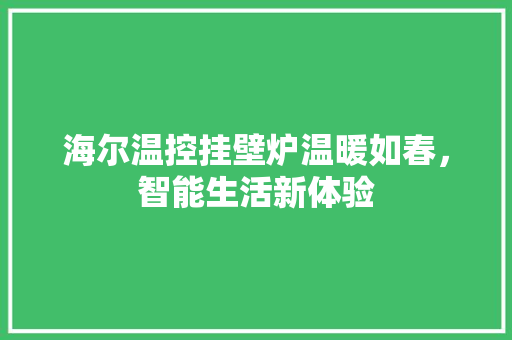 海尔温控挂壁炉温暖如春，智能生活新体验 家具修理
