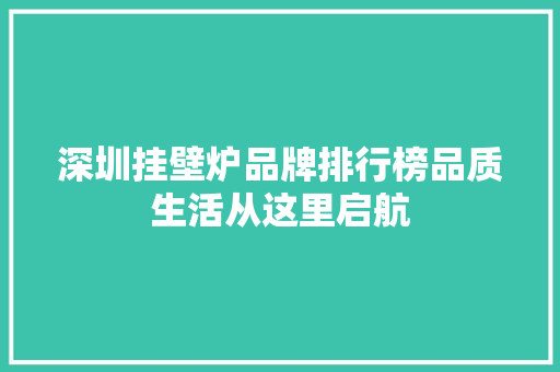 深圳挂壁炉品牌排行榜品质生活从这里启航 清洁保养