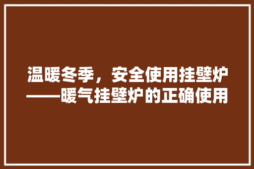 温暖冬季，安全使用挂壁炉——暖气挂壁炉的正确使用方法 清洁保养