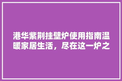 港华紫荆挂壁炉使用指南温暖家居生活，尽在这一炉之间 家具修理