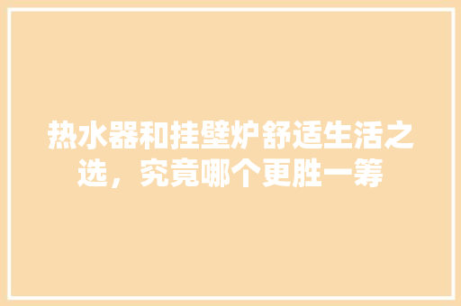 热水器和挂壁炉舒适生活之选，究竟哪个更胜一筹 贴膜