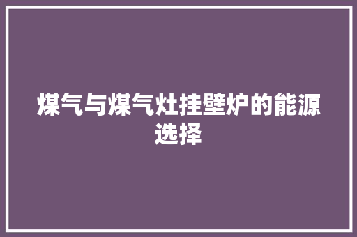 煤气与煤气灶挂壁炉的能源选择 清洁保养